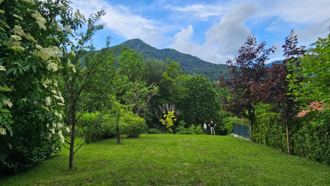 Apartma Sava-Stol Есенице Экстерьер фото