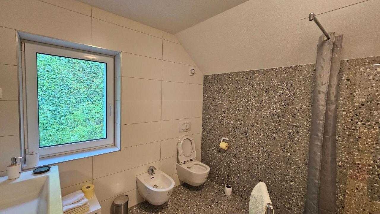 Apartma Sava-Stol Есенице Экстерьер фото